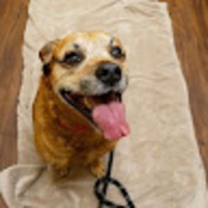 Meet your Posher, Michele